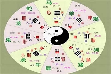 芯字五行|芯字的五行属性是什么